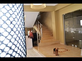 Adana Aslanlar K�z ��renci Yurdu 