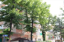 Muradiye Ayd�nl�kevler K�z ��renci Yurdu 