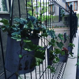 Ankara Duru Kz renci Yurdu 