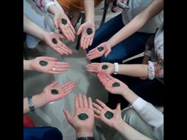 M.Safa Y�ksek ��renim K�z ��renci Yurdu 