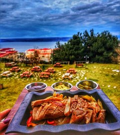 Ardes K�z ��renci Yurdu