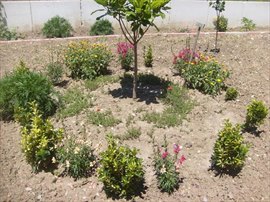  Soma �zel M�stesna Tongu� K�z ��renci Yurdu