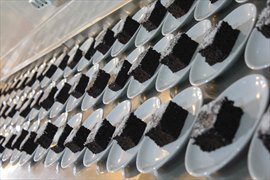 Ulusoy Plus K�z ��renci Yurdu