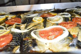 ULUSOY PLUS KIZ ��RENC� YURDU