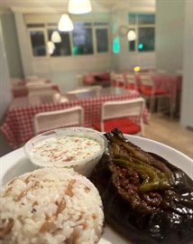 �zel Piyano K�z Yurdu - Kolej �ubesi