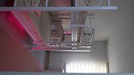 �zel Piyano K�z Yurdu - Kolej �ubesi