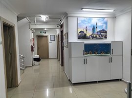 �zzet �elik Erkek ��renci Yurdu - Koridor