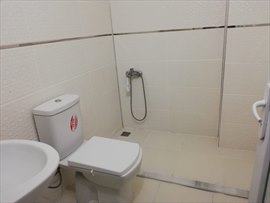 Sla Erkek renci Evleri