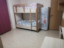 Sla Erkek renci Evleri