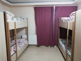 Sla Erkek renci Evleri