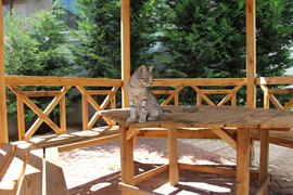 Ilgaz Kz renci Yurdu