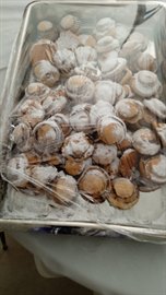 �zel Cebeci Gardenya K�z ��renci Yurdu