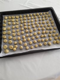 �zel Cebeci Gardenya K�z ��renci Yurdu