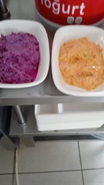 �zel Cebeci Gardenya K�z ��renci Yurdu