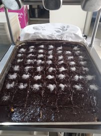 �zel Cebeci Gardenya K�z ��renci Yurdu