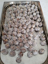 �zel Cebeci Gardenya K�z ��renci Yurdu