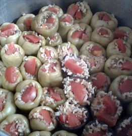 Alkn Kz renci Yurdu - Emek