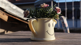 Avc�lar �zel Piyano Erkek Yurdu