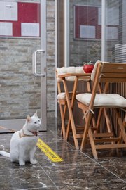 Fidan K�z ��renci Yurdu 