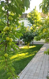Niyazi M�sri K�lt�r Vakf� Erkek ��renci Evleri