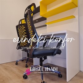 Kartal Birg�l Han�m K�z ��renci Yurdu