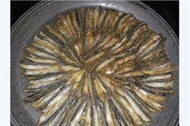 �zel Asyal� K�z ��renci Yurdu