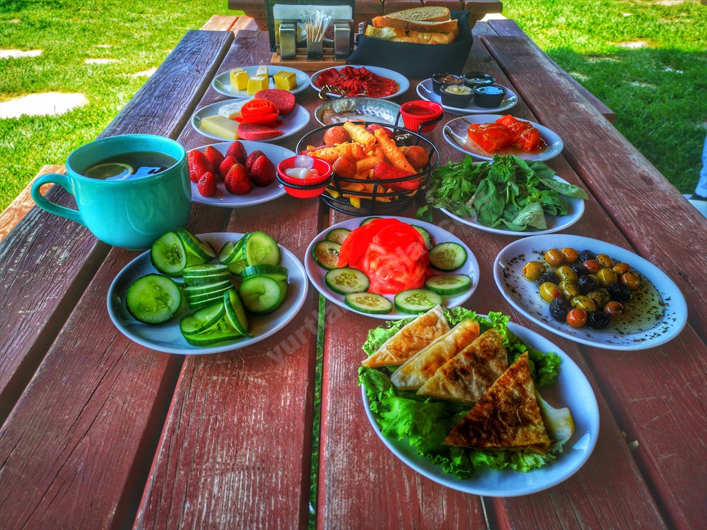 Ardes K�z ��renci Yurdu
