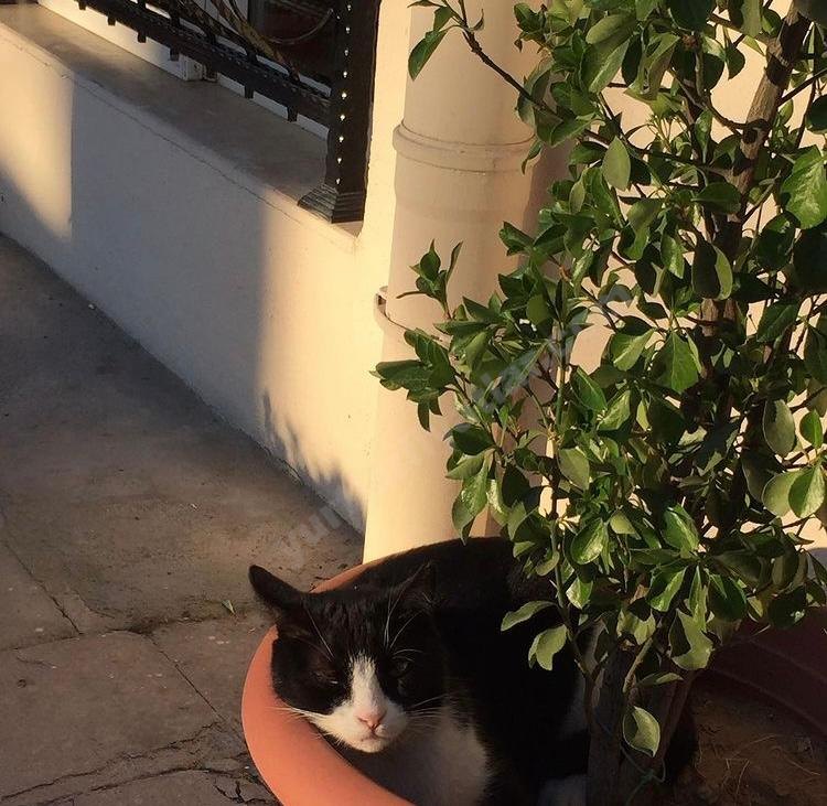 Manisa Ilg�n Bayan Apart Yurt