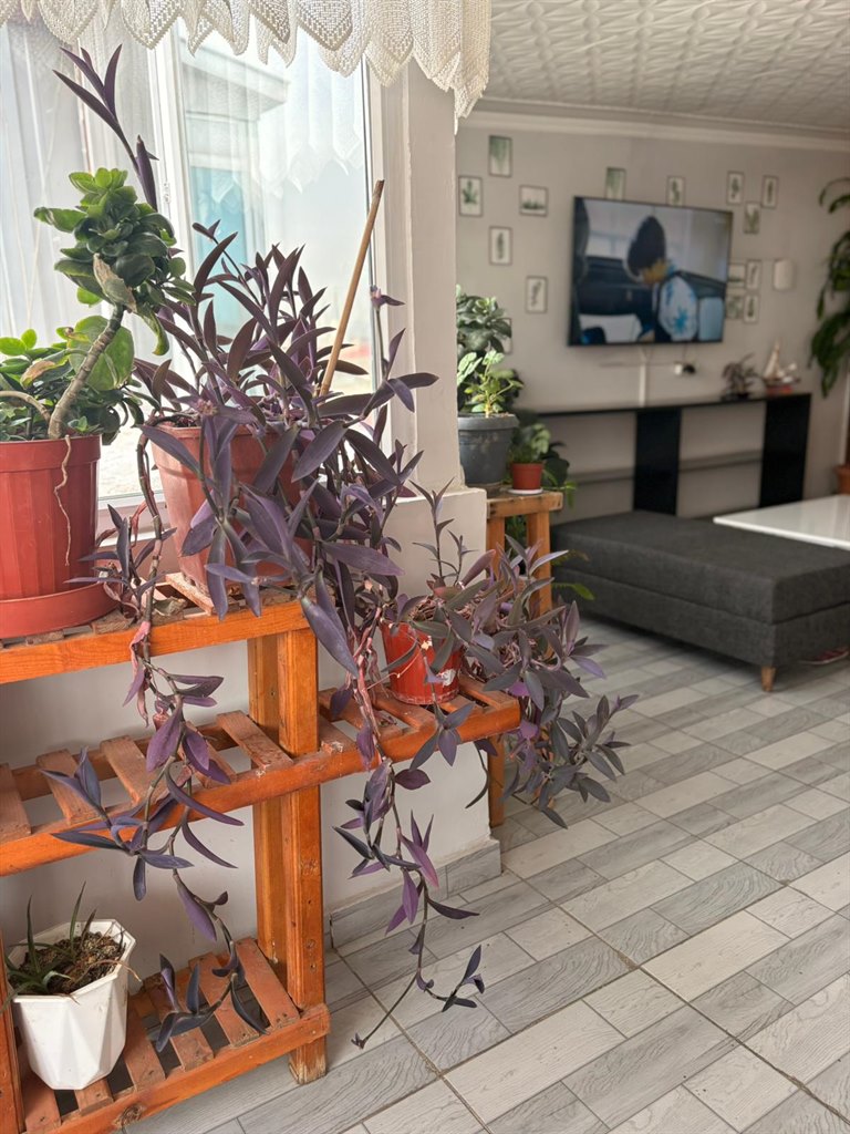 �zel Piyano K�z Yurdu - K�z�lay �ubesi