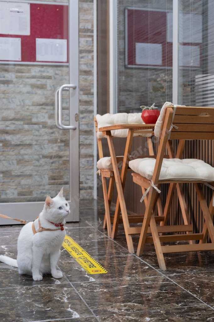 Fidan K�z ��renci Yurdu 