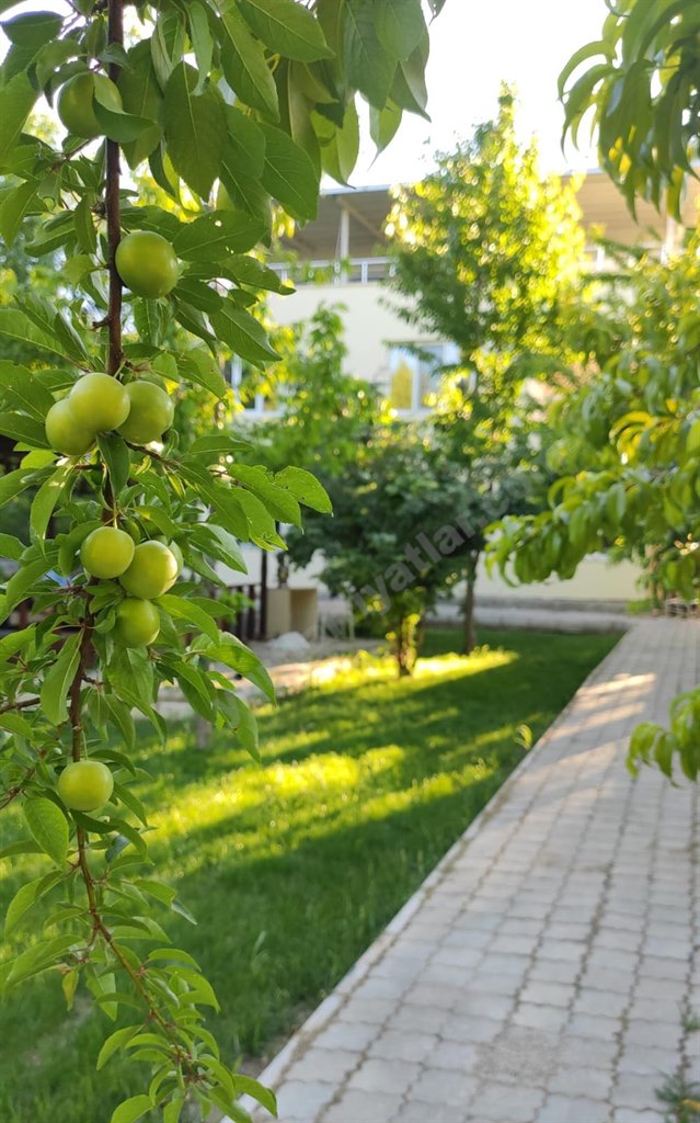 Niyazi M�sri K�lt�r Vakf� Erkek ��renci Evleri