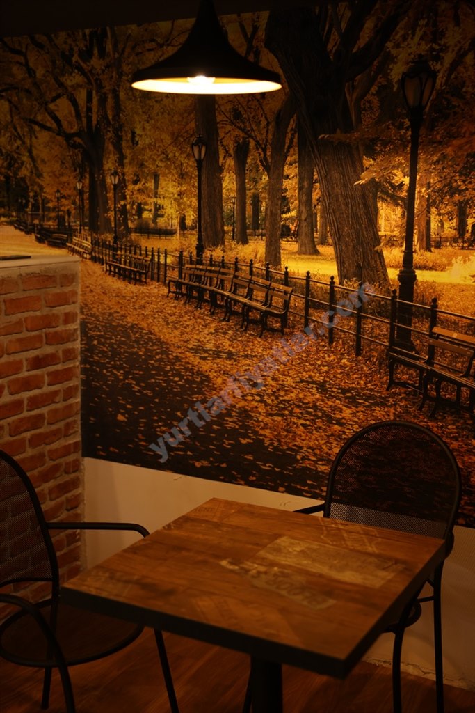 Anakent Bah�eli K�z ��renci Yurdu