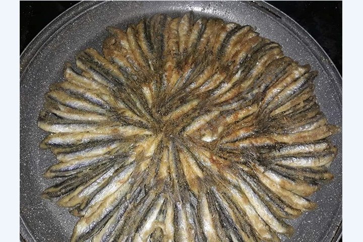 �zel Asyal� K�z ��renci Yurdu